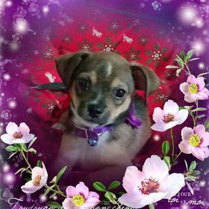 Meet your Posher, Rowena